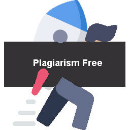 plagiarism free Assignment