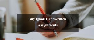 Buy Ignou Handwritten Assignments